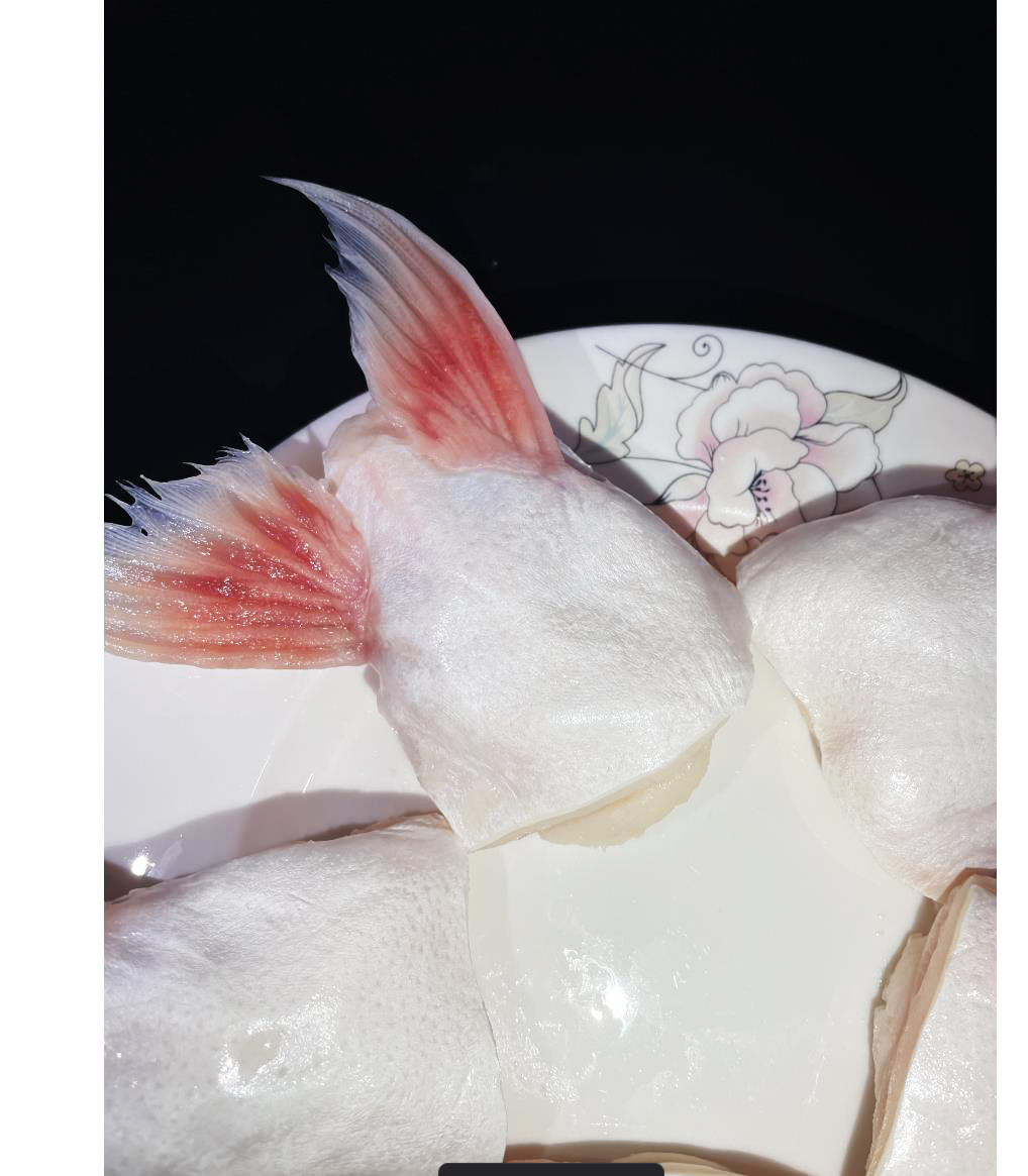 鮰鱼翅和巴沙鱼翅图片