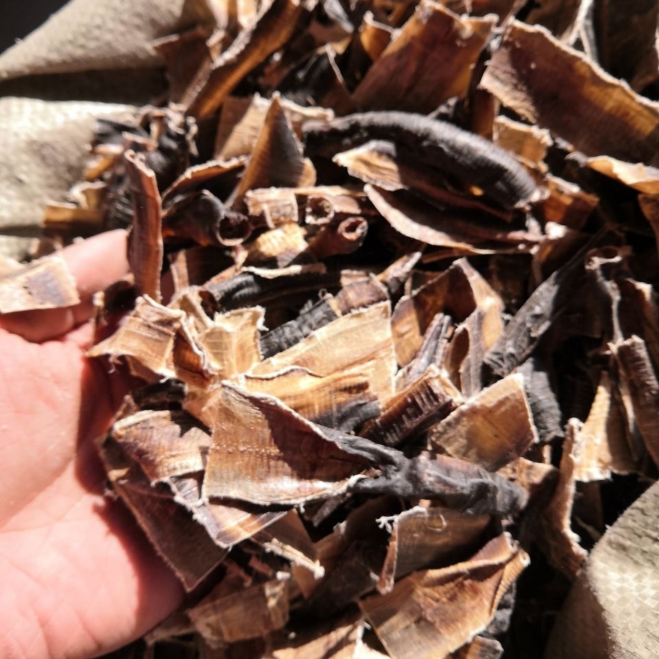 地龙干片地龙粉中药材蚯蚓皮干广西野生全开无土大片货地龙皮干