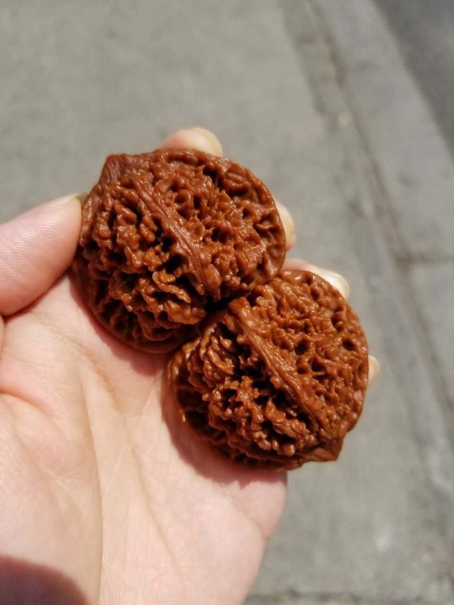 爱优美北京百花山满天星狮子头星星点点随缘款满天星狮子头一对