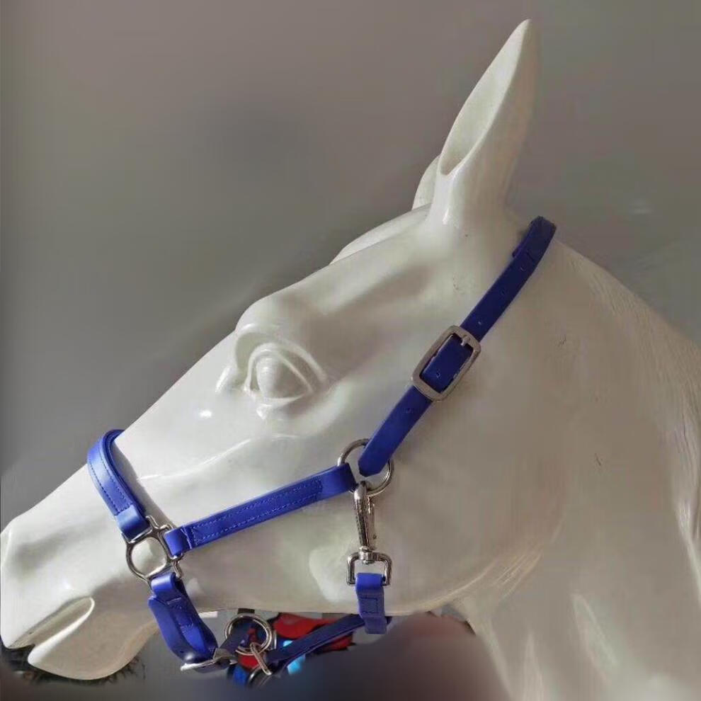 霓梦琳马龙头马术运动马匹装备牵马龙套pvc牵马龙头多种颜色大小可