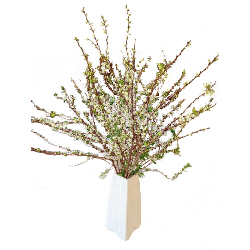 干枝雪柳遇水开花鲜切干支花水养喷雪花腊梅红梅插水泡水z1 干枝雪柳2