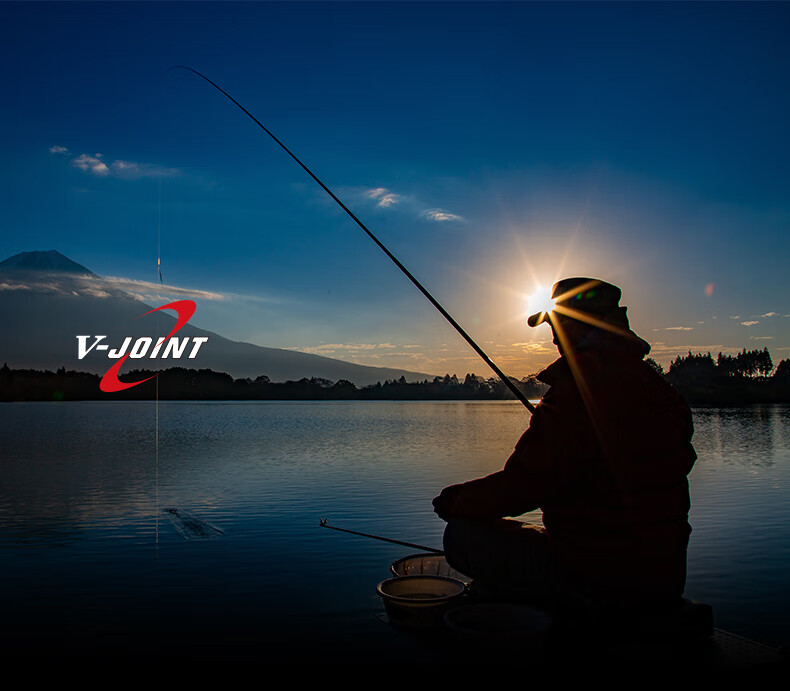 达亿瓦(daiwa)波纹龙 鱼竿 手竿 台钓竿28调3号4号碳纤维 波纹龙三代