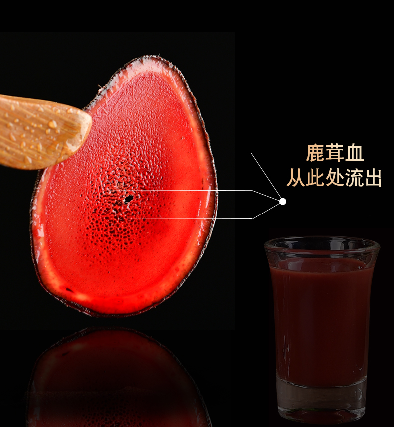 益天健鹿茸血酒正吉林梅花鹿血保鲜加酒泡酒专用