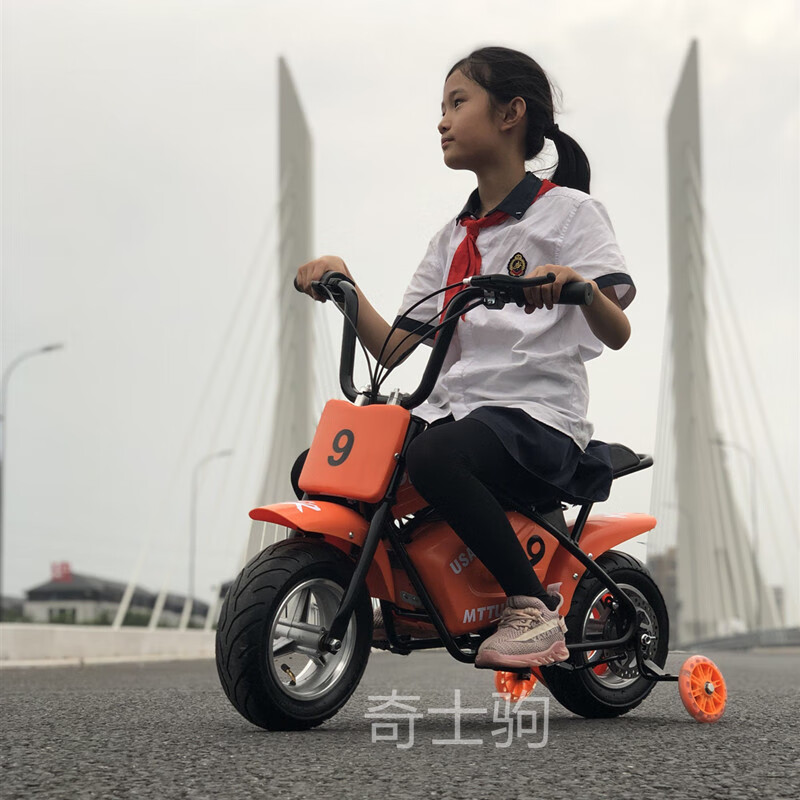 车奇士驹电动车迷你辅助轮两轮摩托车儿童312岁广场童车蓝牙小哈雷 乳