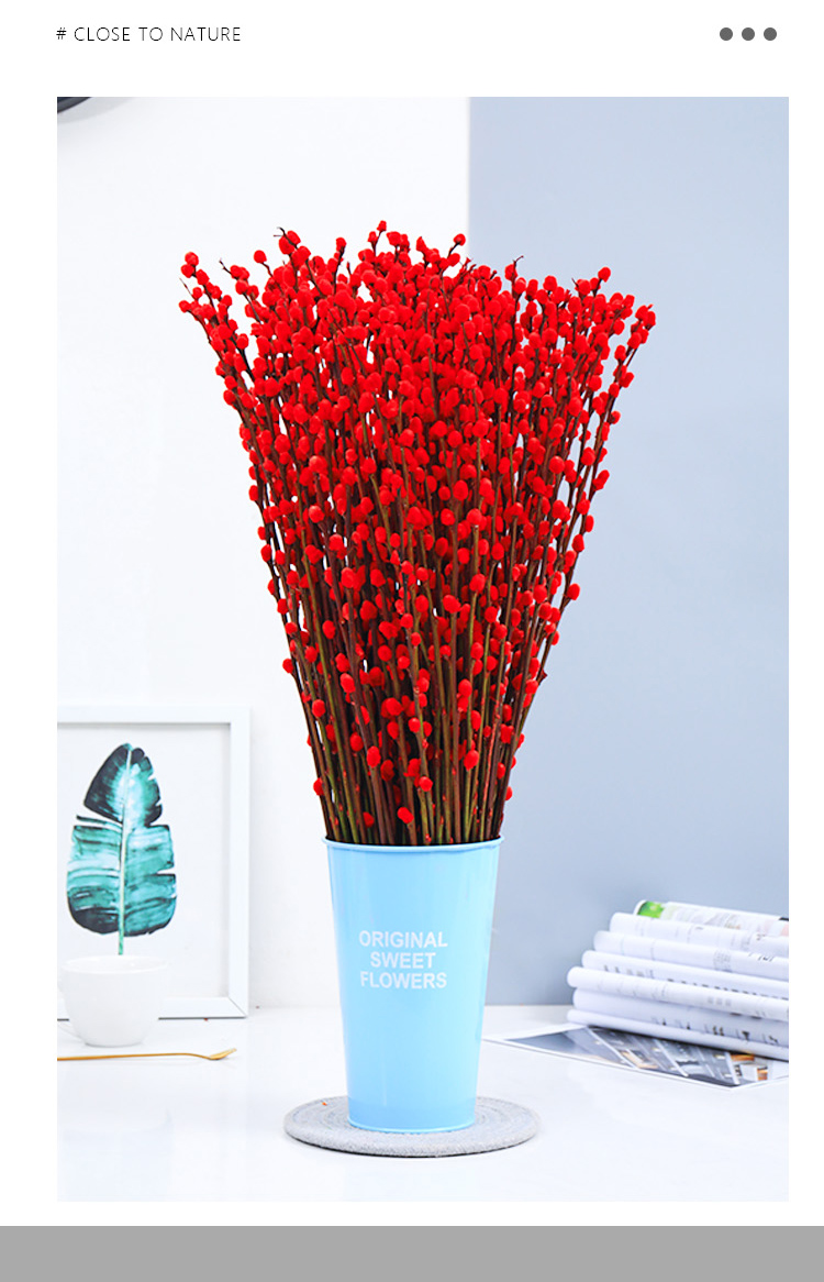 红色银柳彩色鲜枝真花水培植物新年福桶银柳干花室内客厅装饰花束9种