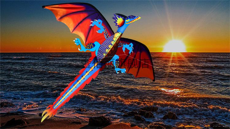 风筝大型带灯 带灯的风筝夜光风筝大型led灯翼龙风筝龙成人led微风