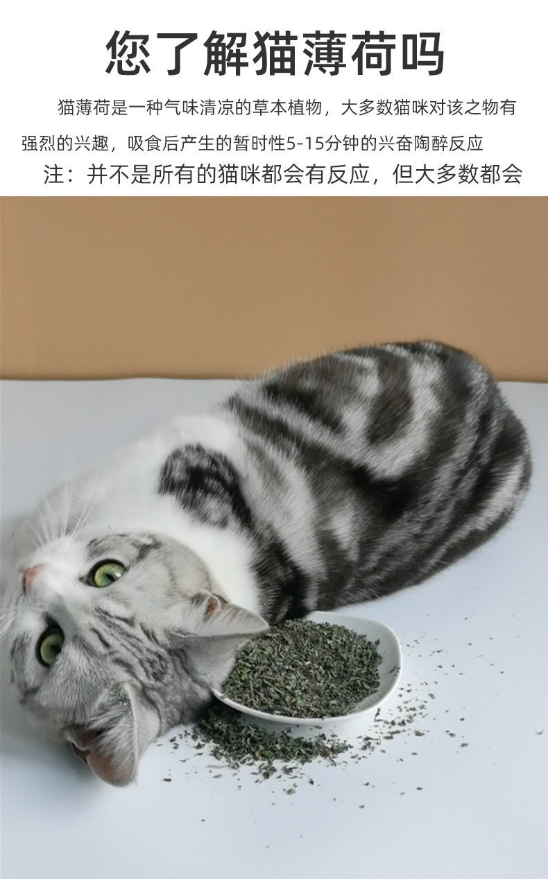 粉叶干簙荷球猫零食天然猫草化毛幼猫玩具猫咪用品去毛球 350ml猫薄荷