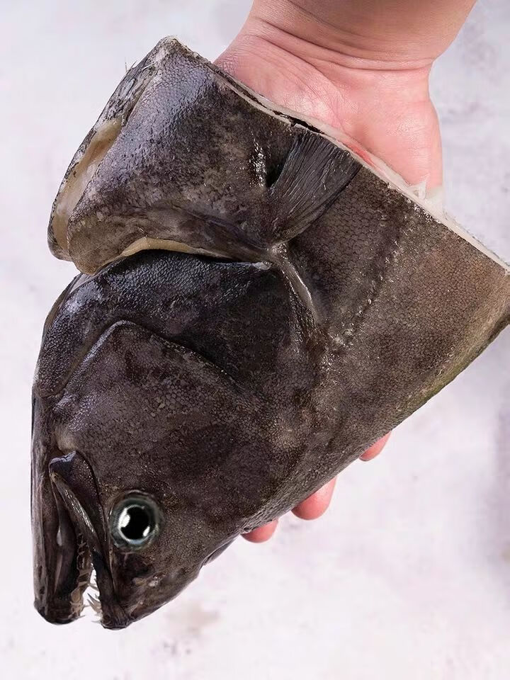 鸦片鱼头格陵兰蝶鱼头新鲜深海野生冷冻大号鲽鱼头碟鱼头雅片鱼头 整