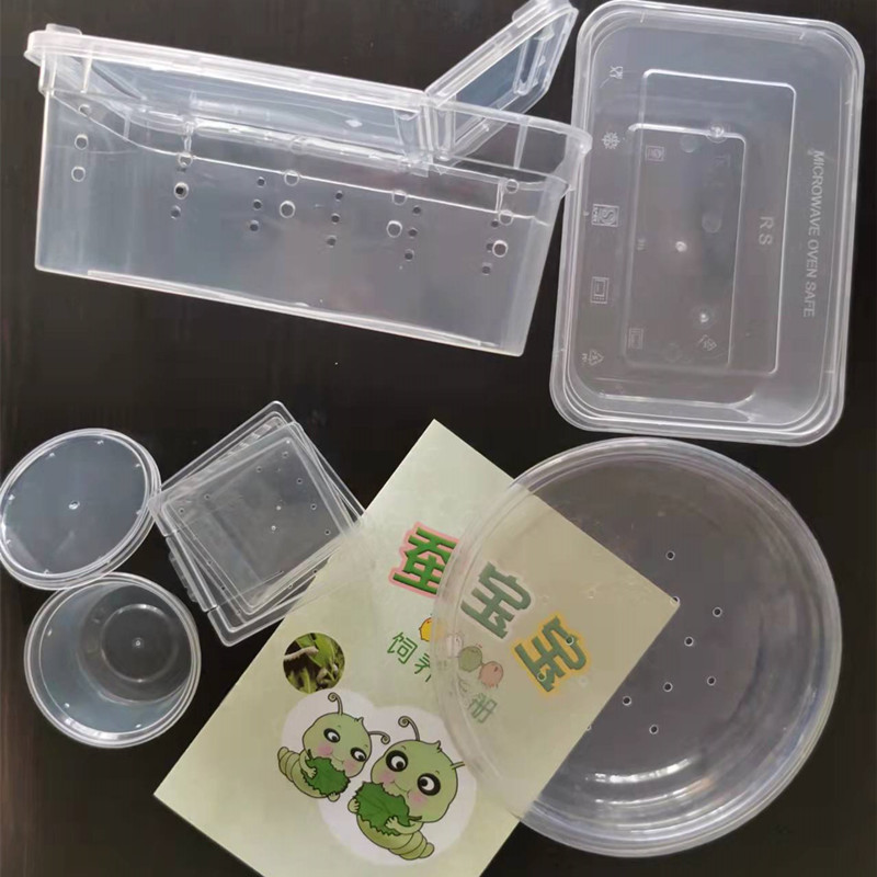 盒养蚕盒子蚕宝宝饲养盒放大镜观察箱透气带孔小蚕分养盒蚕卵孵化盒