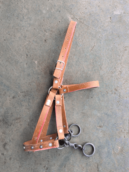 套牵马调教马龙头套马术马具用品小号马笼头白绳款可调节用于肩高0911