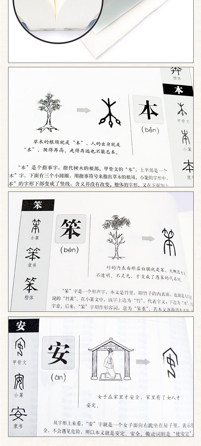 《图解说文解字 画说汉字1000个汉字的故事 许慎著