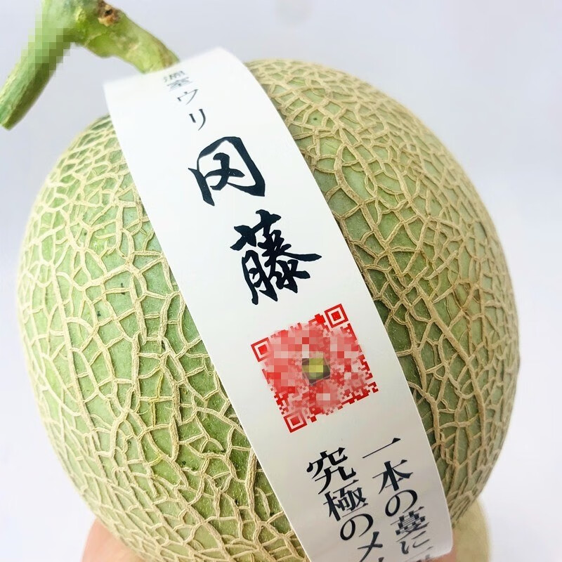 日本种源静冈夕张冈藤蜜瓜6个装冰淇淋甜瓜海南玫珑网纹哈密瓜 24小时