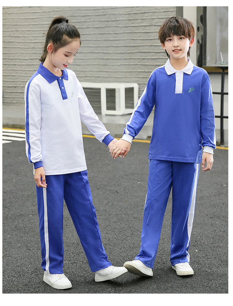 国产潮品青少年秋季校服深圳校服套装小学生统一春秋班服至六年级蓝色