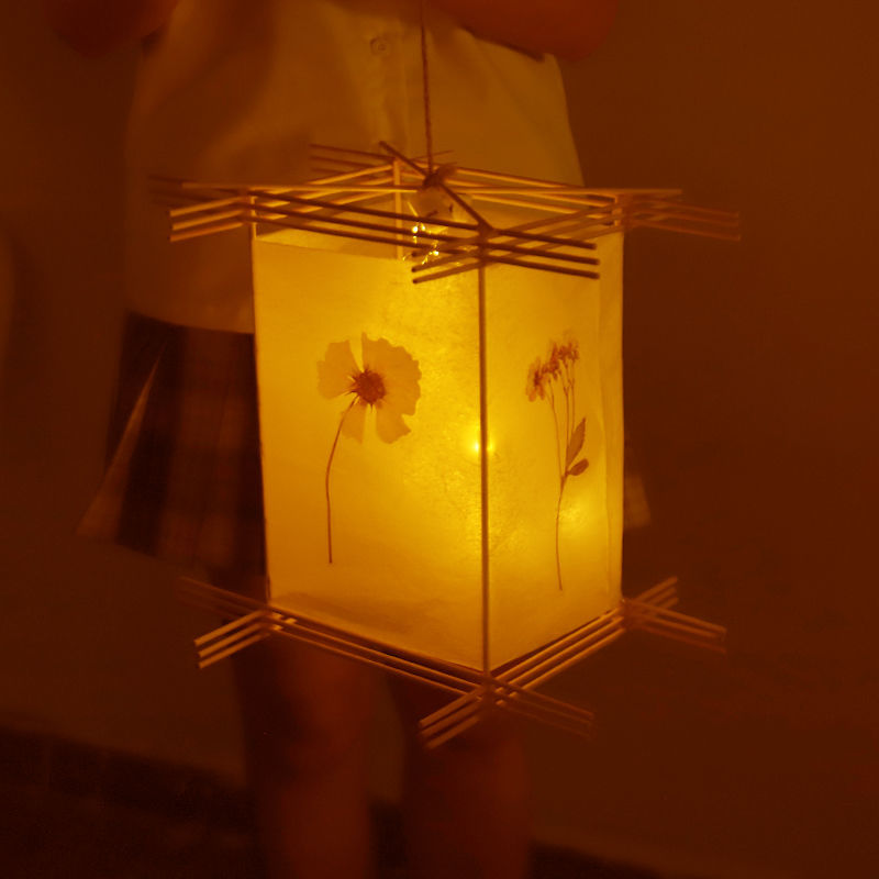 萌依儿灯笼diy网红古风灯笼diy手绘材料包仿古手提花灯儿童手工制作