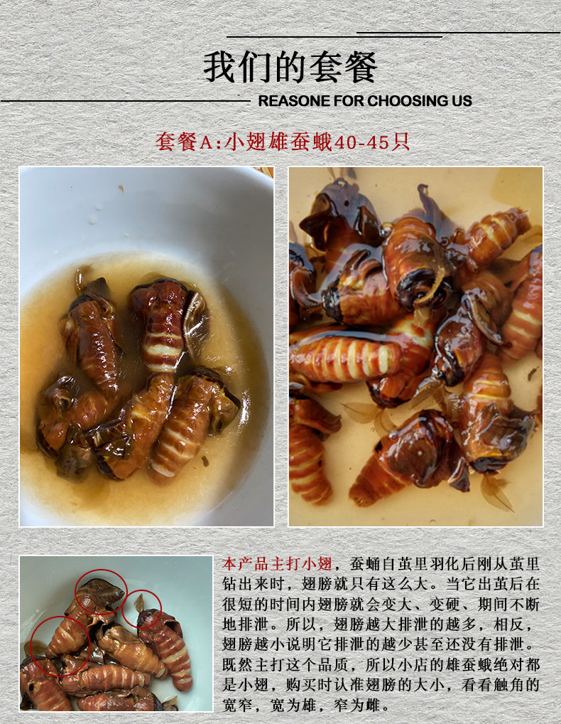 雄蚕蛾酒公蛾泡酒料养生柞蚕原蚕蛾公男性滋补品未交尾雄蝉蛾雄蚕蛾整