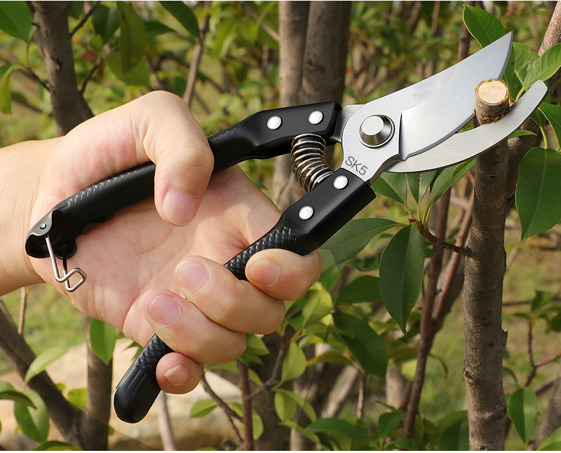 盆栽植物树枝修剪剪刀园艺家用做盆景制作用的工具花卉修枝剪盘景金属