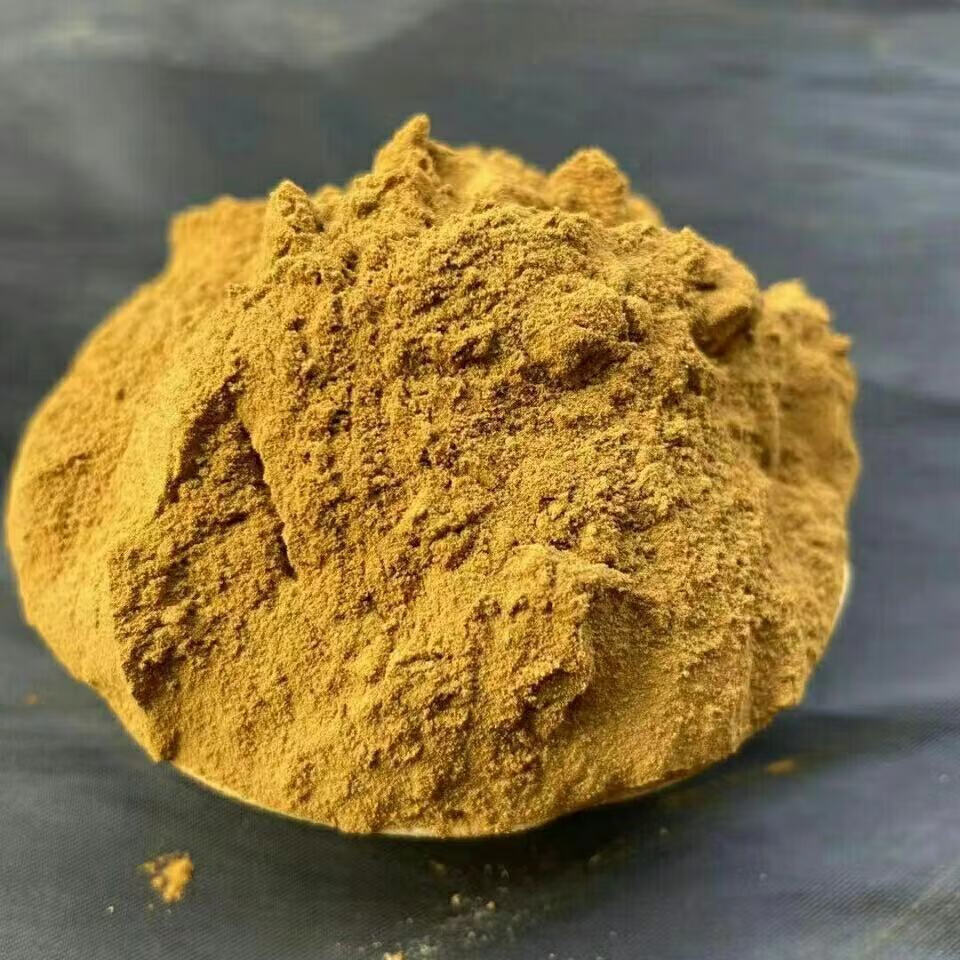 桑黄粉正宗西藏桑树桑黄茶桑黄粉新货金边桑黄粉50克500g伟博正宗桑黄