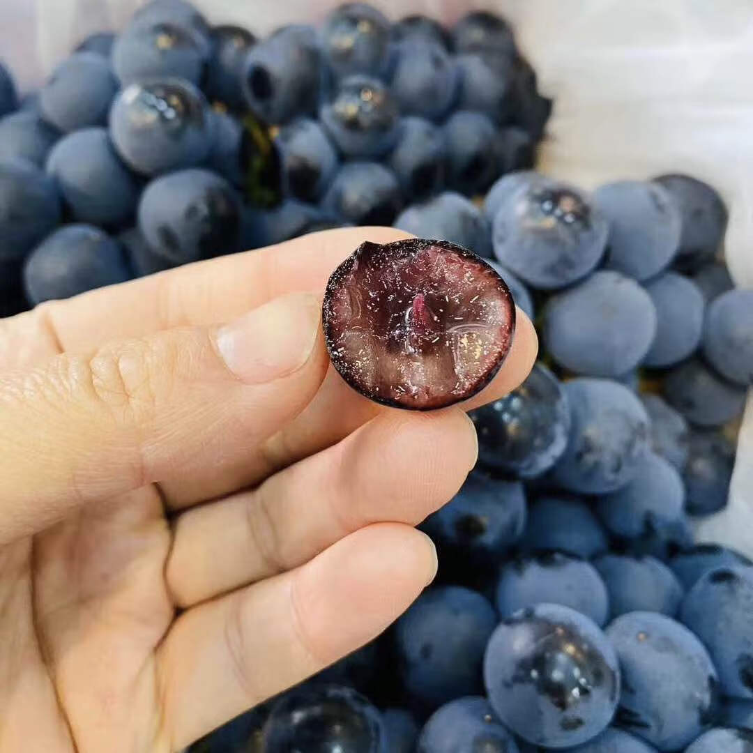 猫村长新疆野生蓝莓葡萄新鲜无籽纯甜口一级孕妇水果比夏黑甜约4斤
