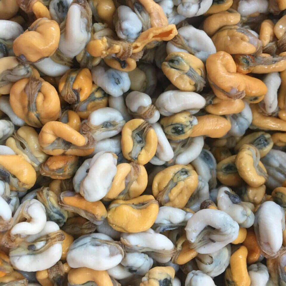 潮汕特产肌蛤薄壳米打捞当季贝类薄壳肉海鲜瓜子免洗即吃薄壳 1斤装