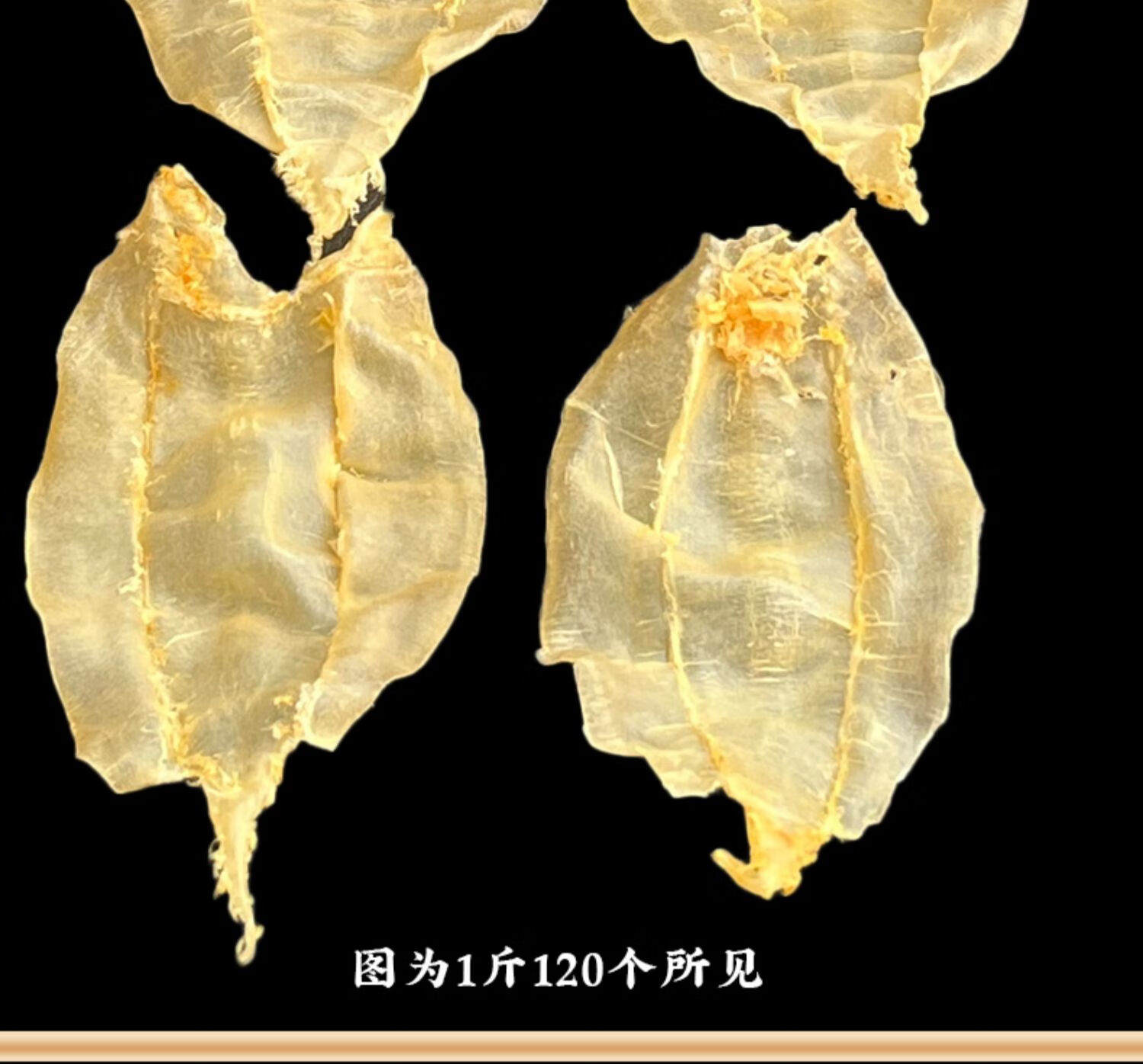 【高品质大口赤嘴鳘鱼公胶深海】孕妇月子滋补品鱼胶花胶干货 注:大口