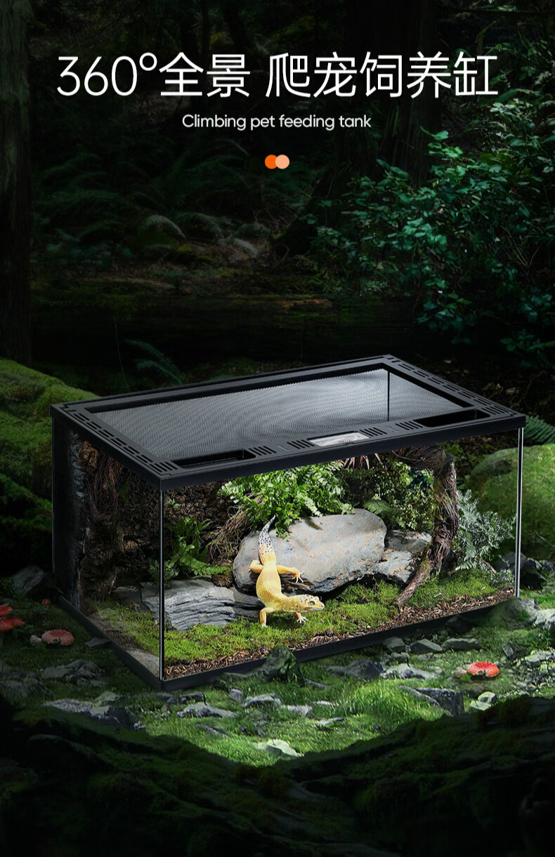 爬宠饲养箱守宫蜥蜴角蛙寄居蟹乌龟蛇虫玻璃雨林缸全透生态缸小号2020