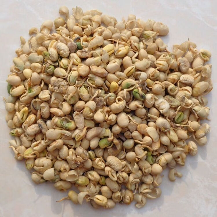 有仁堂中药材 大黄豆卷 大豆黄卷 大豆卷 黄豆卷 豆黄卷年货 大豆黄卷