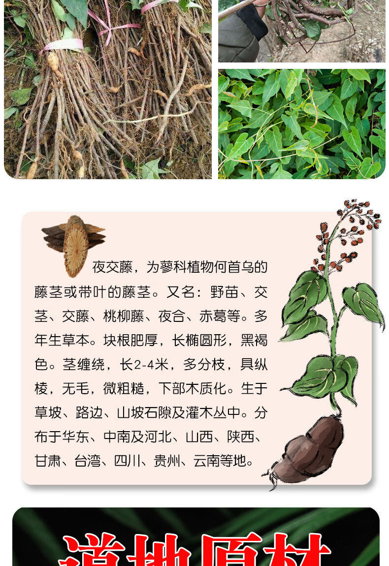 野生夜交藤中药材夜交藤片睡眠泡茶泡水养生茶 大片【500g】野生