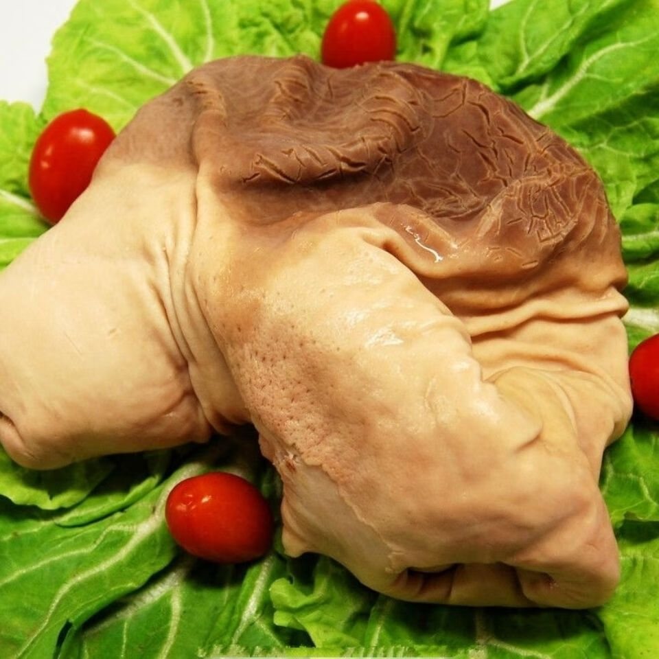 顺丰冷冻半熟猪肚子猪肚熟猪肚去油新鲜免洗猪肚价2个整肚2斤左右