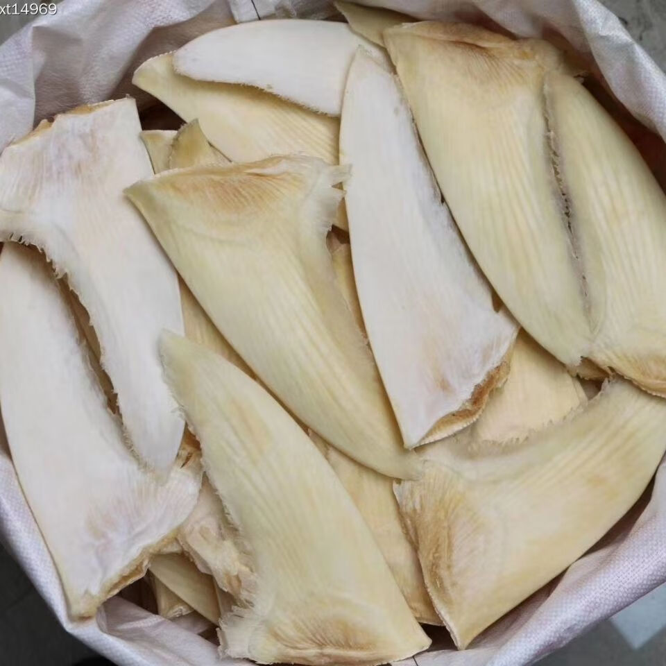授权店铺 干货鱼翅乌羊骨翅鱼翅-寸热门鱼翅滋补美食足干家用餐饮食材