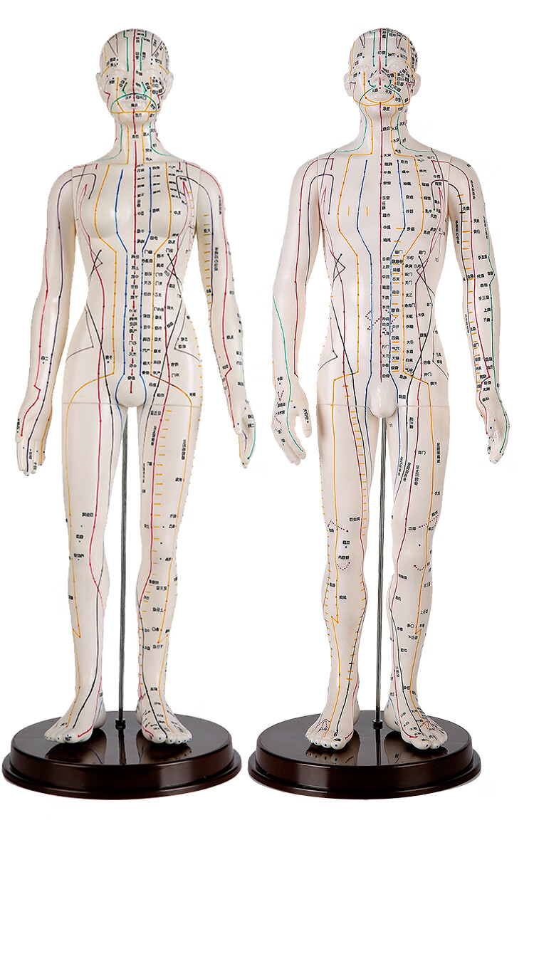 针灸铜人铜色经络针灸铜人人体穴位模型中医针灸人模铜像摆件展示针灸