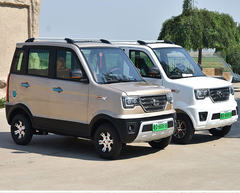 中老年代步电动车老头乐老头乐2022新款新能源电动汽车四轮车轿车油电