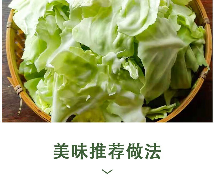 輕戀 四川現摘蓮花白包菜新鮮捲心菜青菜應季農家蔬菜綠甘藍平白