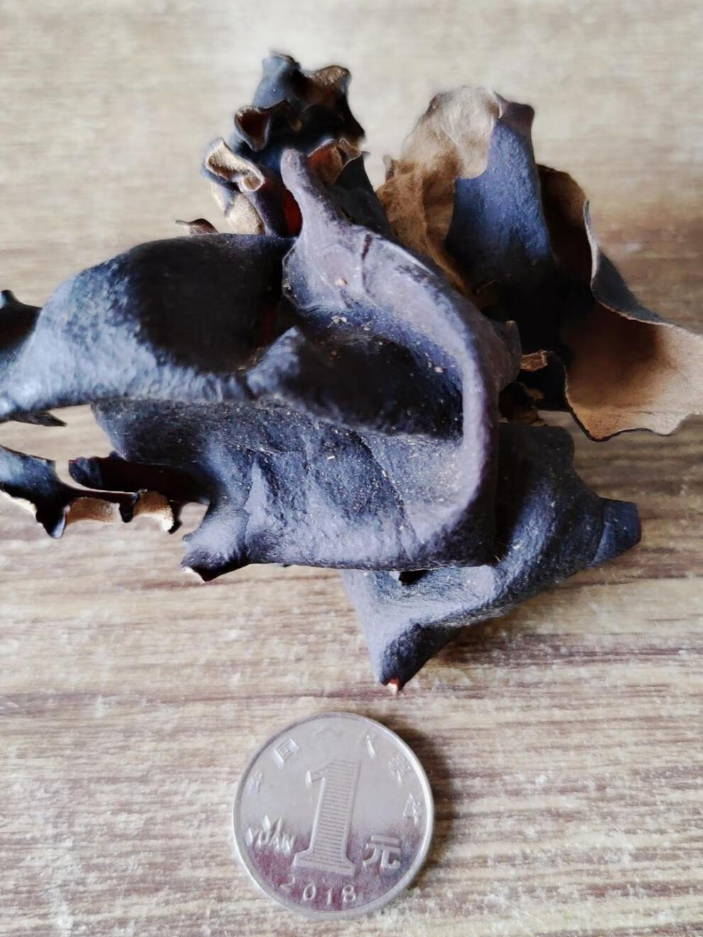 毛木耳干货批发农家土特产白背黑木耳脆木耳新货餐饮火锅食材凉拌500g