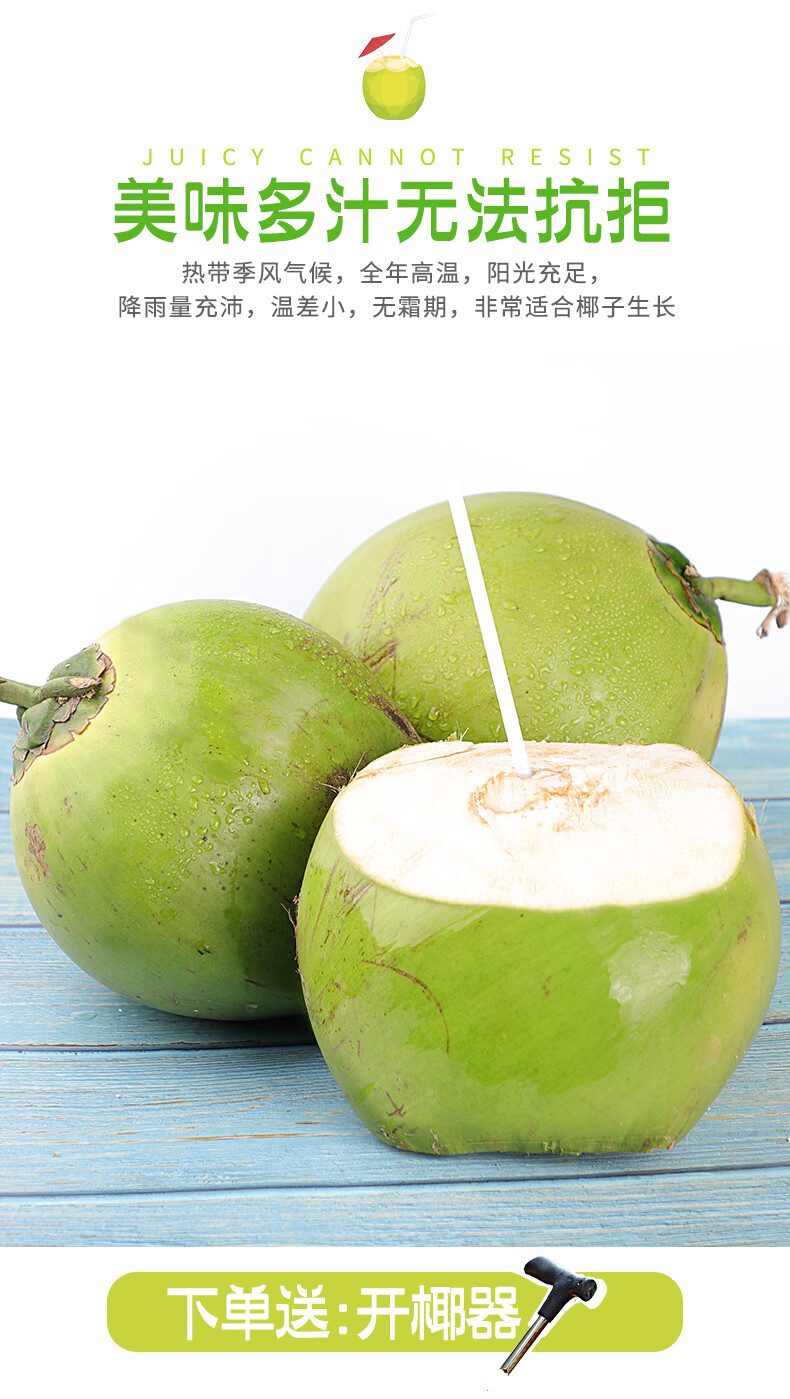 椰肉 孕妇水果 精选大果 产地直发 精选新鲜椰子4个装 开椰器【图片