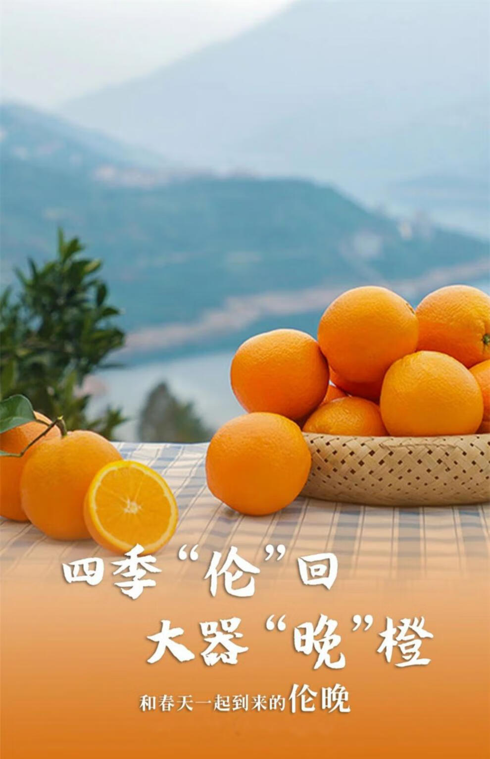 新鲜当季正宗伦晚脐橙应季水果夏橙春甜橙子冰糖橙果冻橙赣南现摘60mm