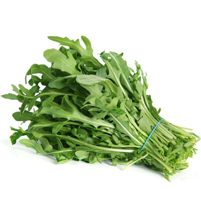 大叶臭菜种子芝麻菜种子四季香味可口清炒更香臭菜野菜种子芝麻菜种子