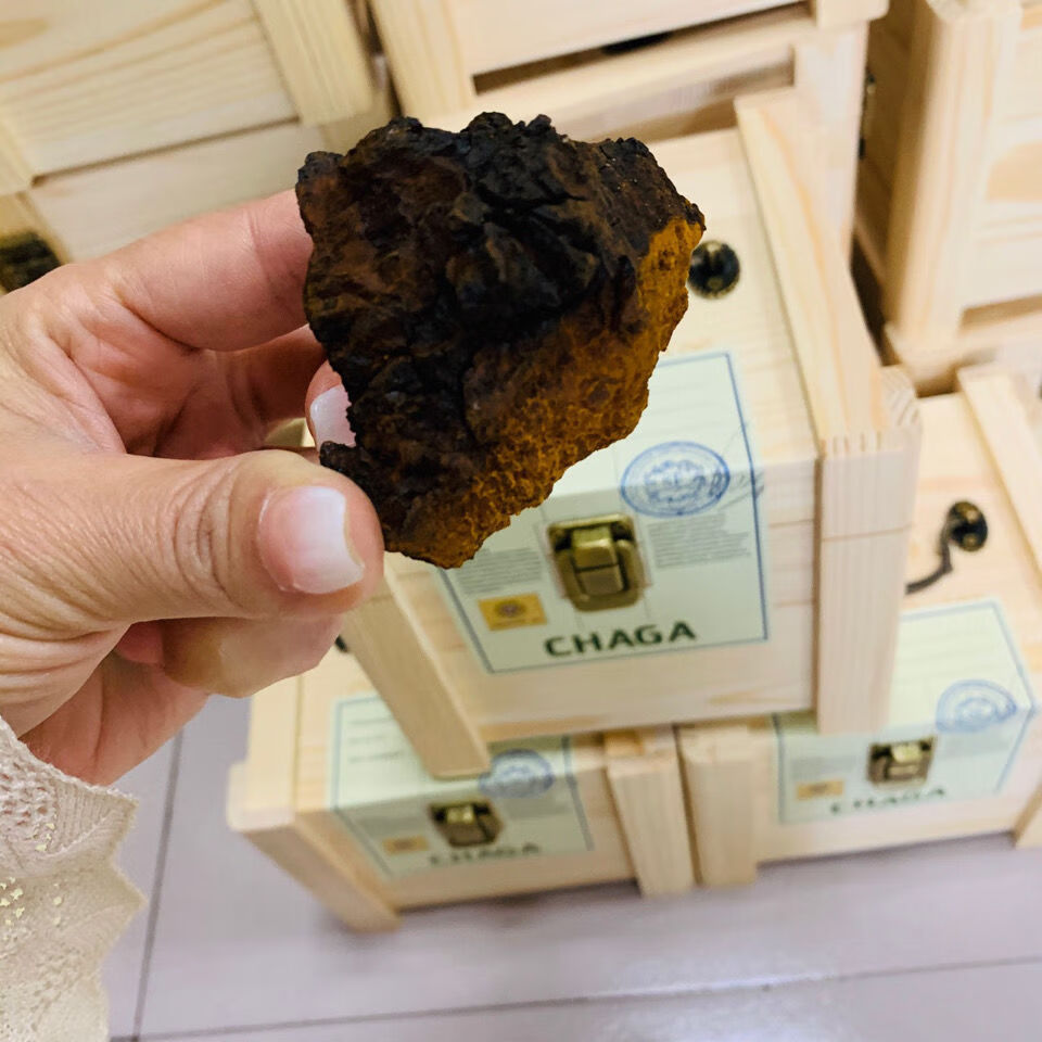 桦褐孔菌桦树茸黑皮切块天然黑金礼盒装500g 500g【图片 价格 品牌