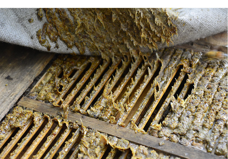 天然蜂胶原胶毛胶纯正蜂胶液胶泡酒蜂胶块食用50g