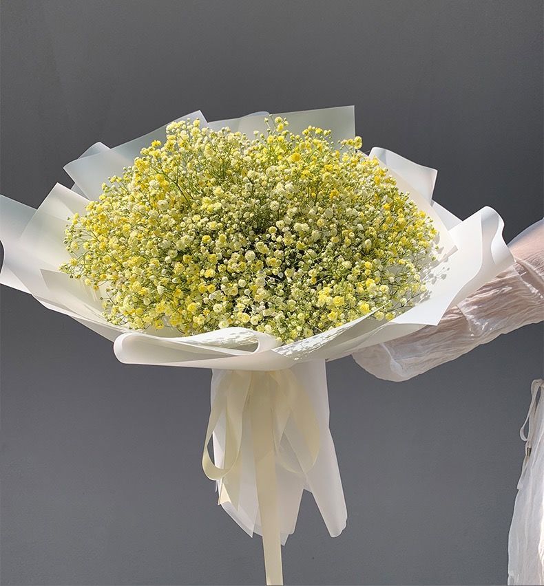 满天星花束满天星干花大花束成品闺蜜礼网红精装超大花束520送女朋友
