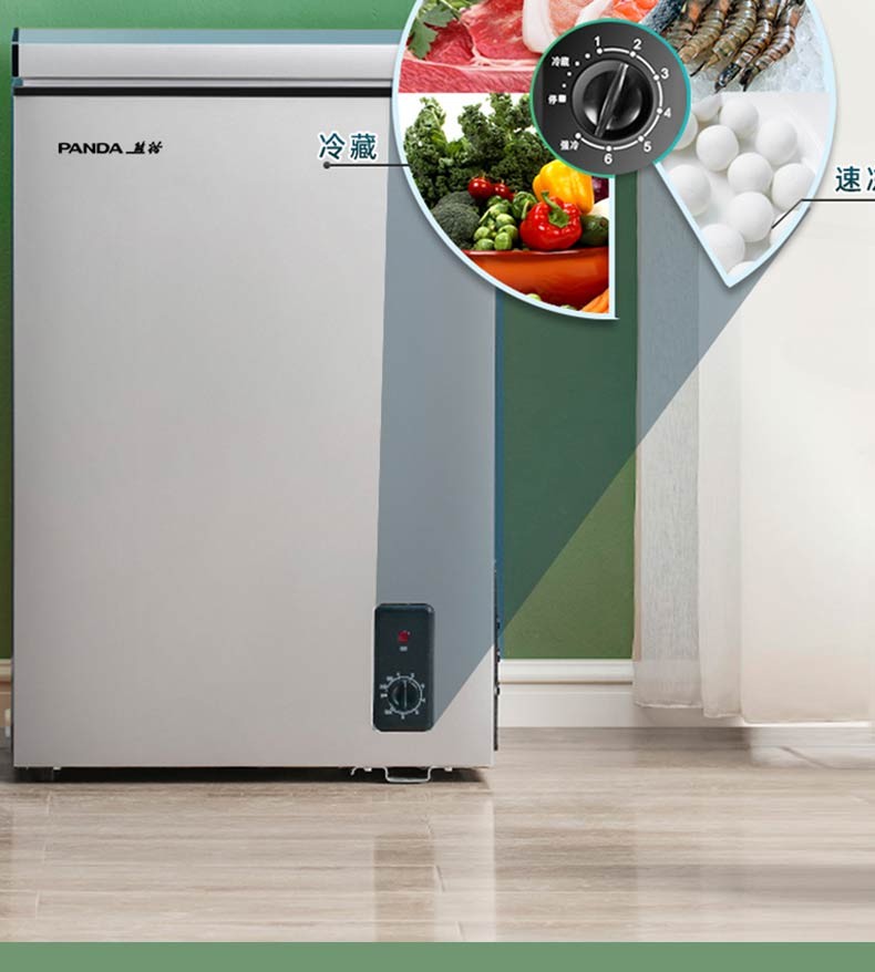 熊猫(panda)冷柜小型家用冰柜冷藏冷冻双门卧式冰箱商住两用大容量