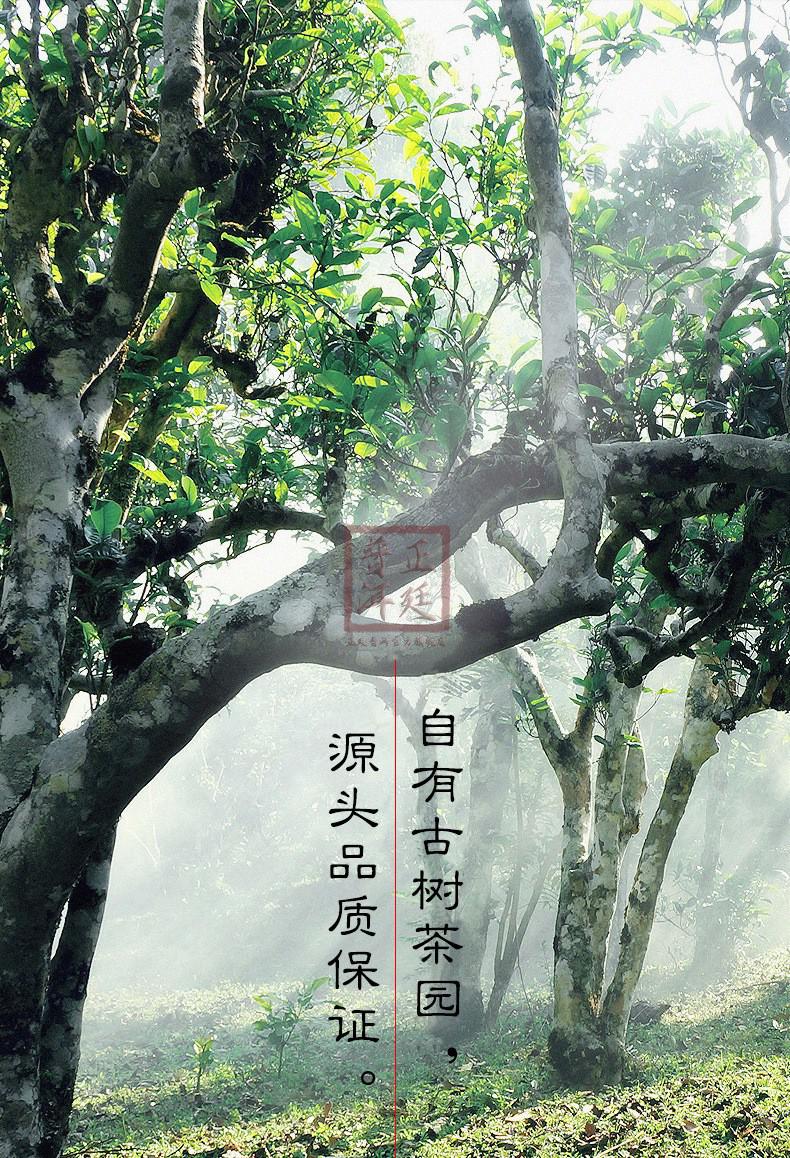 正廷普洱 大雪山冰岛普洱生茶饼云南普洱七子饼茶古树生茶357g 大雪山