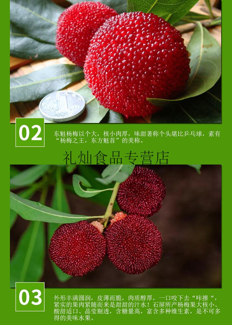 杨梅新鲜现摘黑炭杨梅3斤大果荸荠杨梅 5斤【图片 价格 品牌 报价】