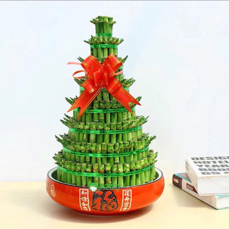 磐阙轻奢竹塔富贵竹盆栽组合节节高水培观音客厅卧室茶几步步高转运竹