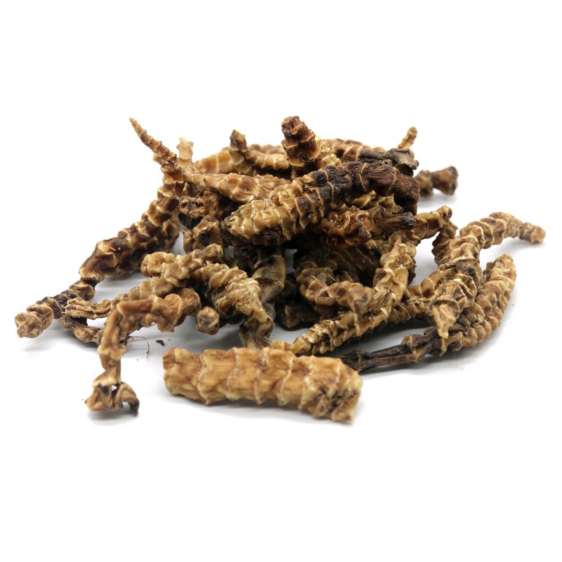 汇茸堂虫草参500g干货中药材地参地虫草竹节参泽兰根新货地龙菜煲汤泡