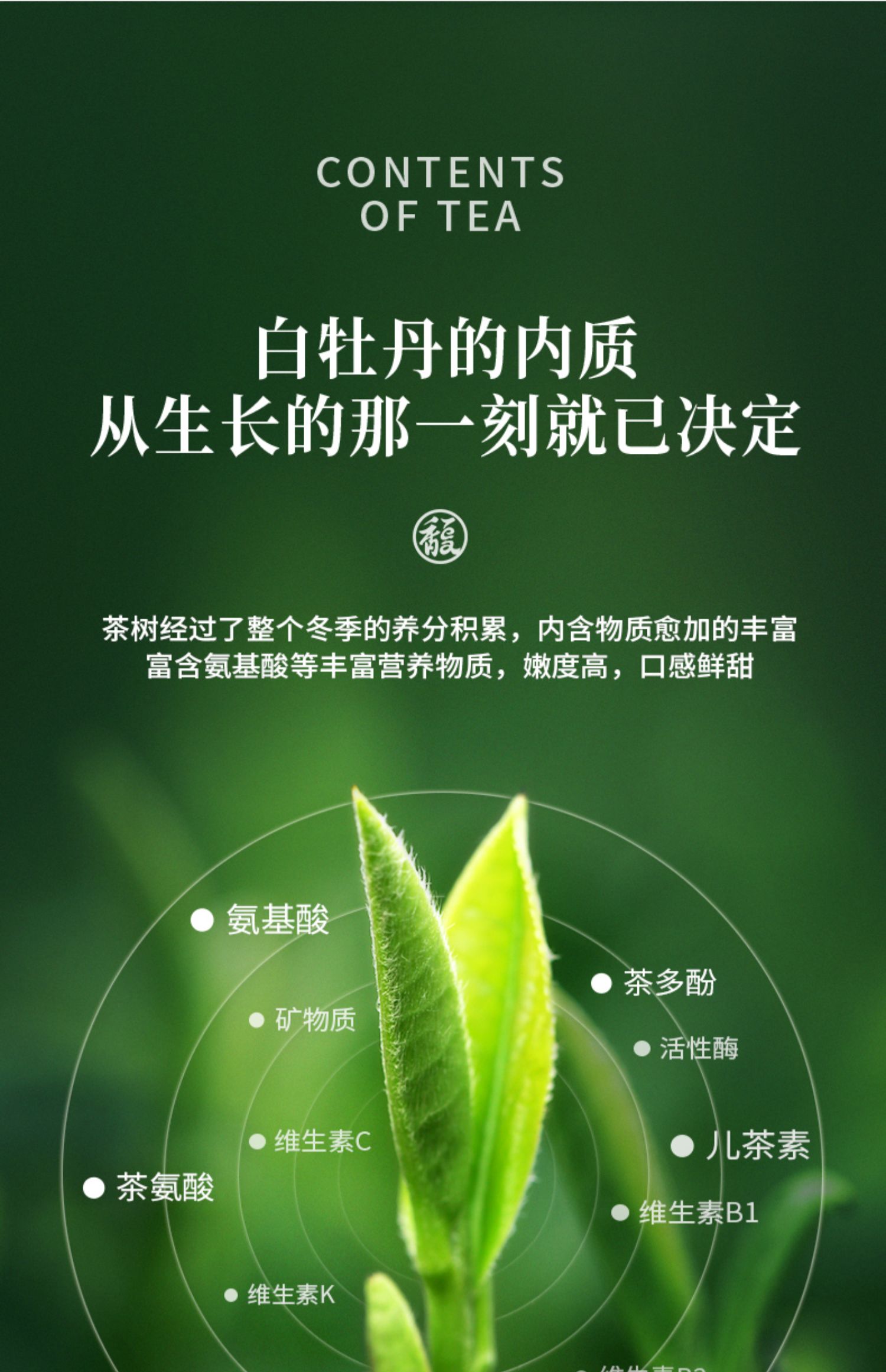 春茶上市 白茶年新茶白牡丹250g高山散茶 茶叶【图片 价格 品牌 报价