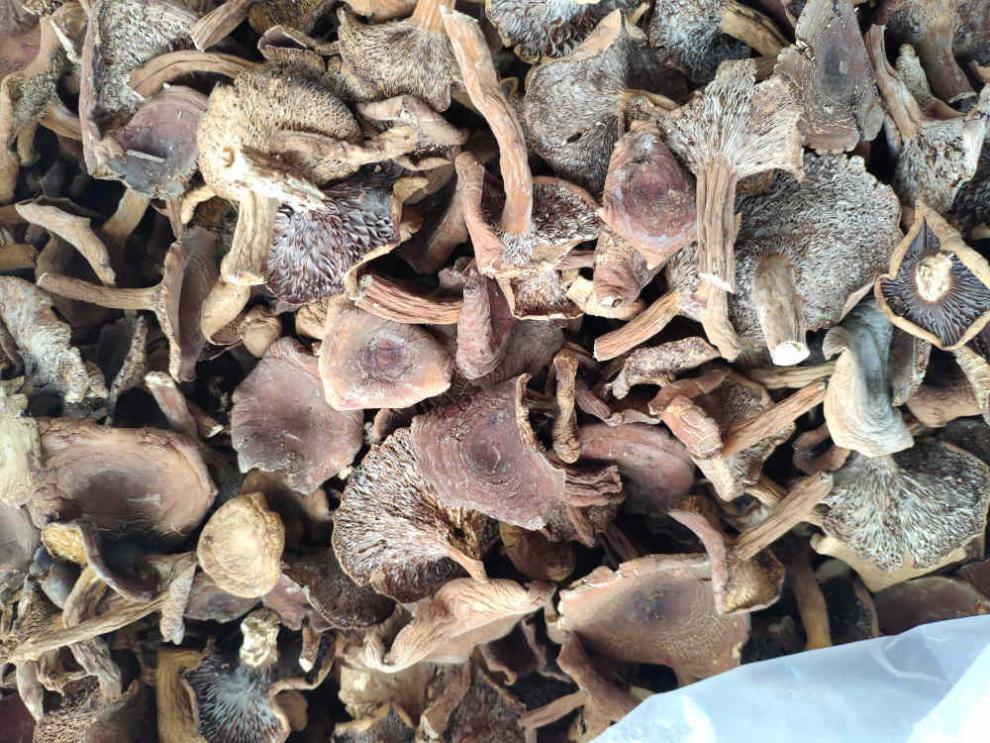 菌奶浆菌干货 云南土特产山珍干货 美味菌汤包 煲汤美味营养 500克奶