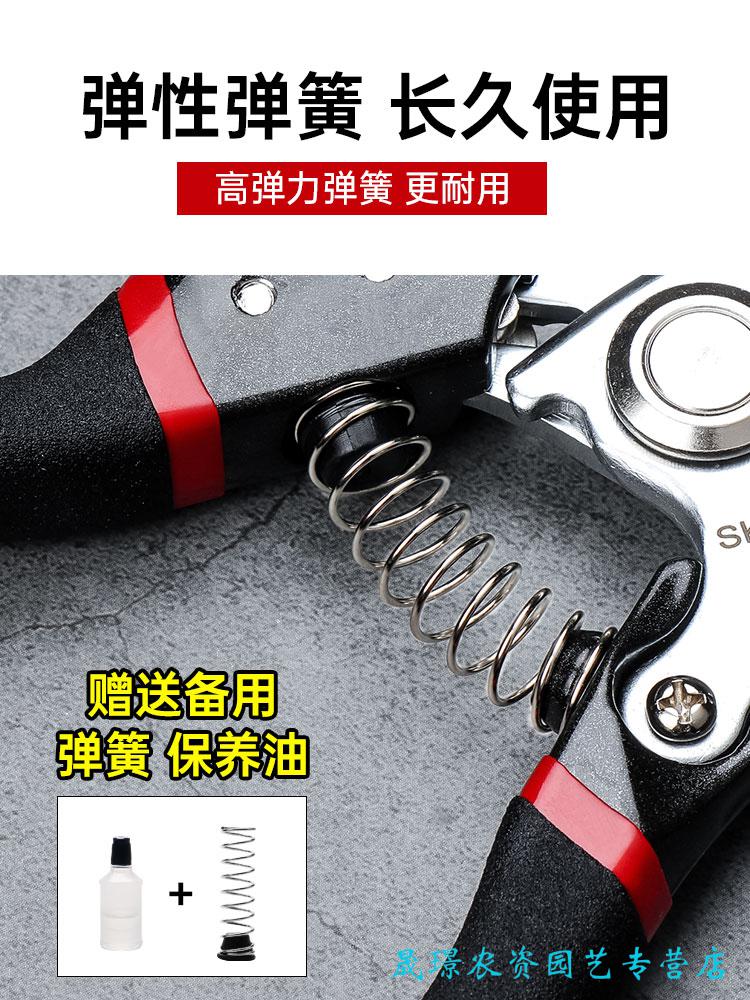 1338a845f4d97cd1.jpg