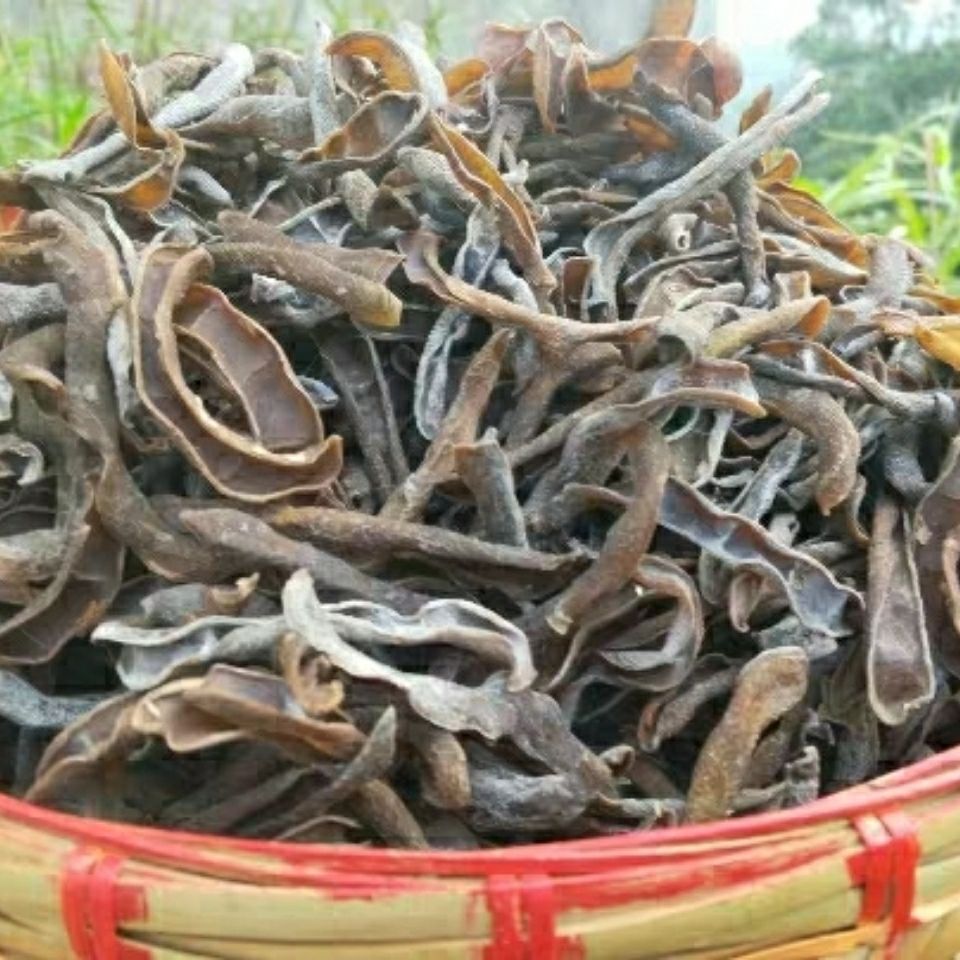 贵州特产农家自晒干狗儿豆狗爪豆狗仔豆猫爪豆干老鼠豆500g 1000g两斤