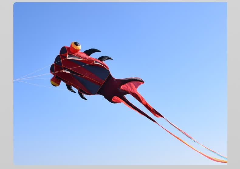 软体风筝 3d立体大风筝大型超大长尾好飞无骨架山东潍坊软体金鱼风筝