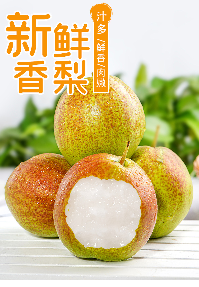山西隰县玉露香梨脆甜梨子10斤水果新鲜当季整箱特产酥雪梨53斤特惠